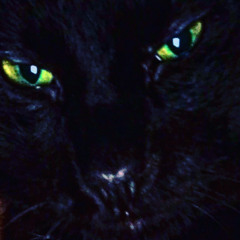L.O.R. - BLACK CAT (ANALOG RECORD)