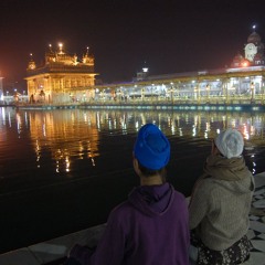 7.4.25 dwntmpo tribal organic