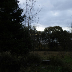 Just a little fool around