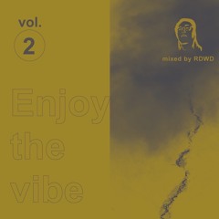 Enjoy The Vibe Vol.2