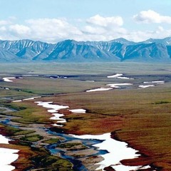 The Tundra (disquiet0545)