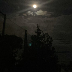 Moonlight ( ft. XNDY )