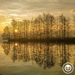 deep story nr. 230 | into the wild | by Organic Twins