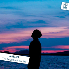 You Forgot to Love Me