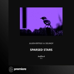 Premiere: Julien Vertigo, Delrady - Sparsed Stars - Bullfinch Records