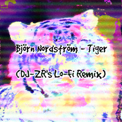 Björn Nordström - Tiger (DJ-ZR's Lo-Fi Remix)