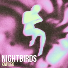 Nightbirds 24