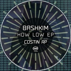 Bashkim - How Low (Costin Rp Remix) Preview