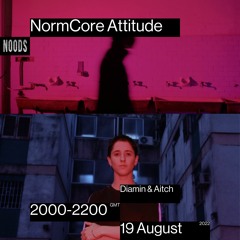 NormCore Attitude 31 w/ Diamin & Aitch