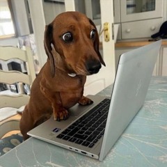 4xlowkey - i admit (prod. jxdenmid) [TAKEYOGAT EXCLUSIVE]