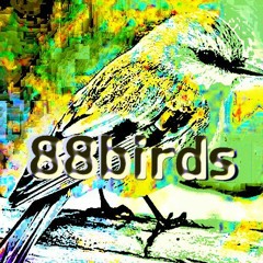 88birds