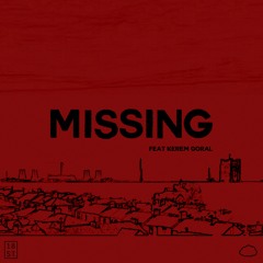 Missing (feat. Kerem Goral)