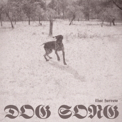 Free dog sale song