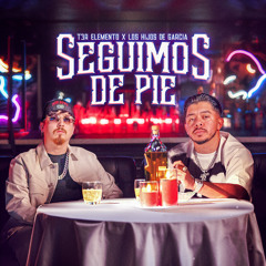 T3R Elemento & Los Hijos De Garcia - Seguimos De Pie