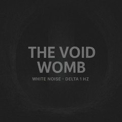 White Noise Reset - The Void Womb - Demo
