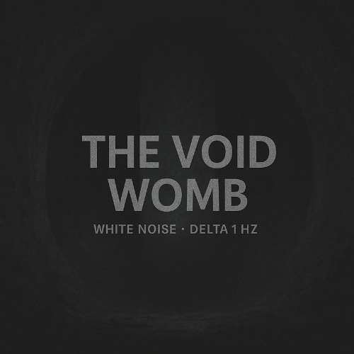 White Noise Reset - The Void Womb - Demo