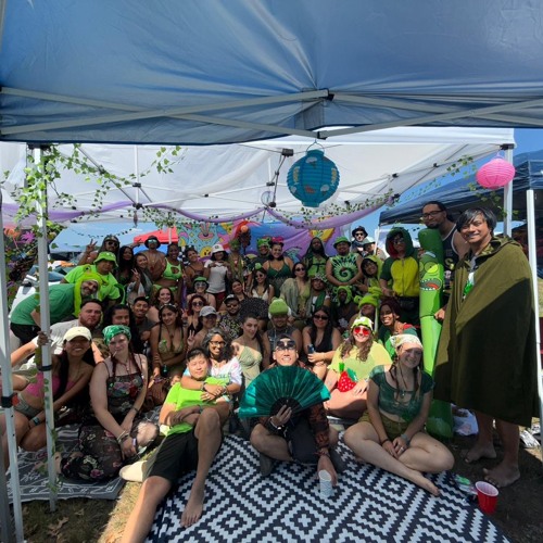Elements Camp After Party Set