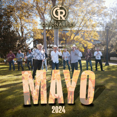 Laurita Garza (En Vivo)