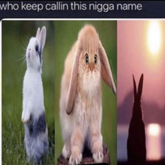 I hit the juckport 1 trillion$ ft @rxmmelss