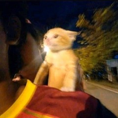 Some Heat feat. Hizzy (prod. Howlr)