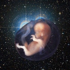 On The Hunt For Human Life Forms  (story)
