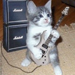 Pussycat