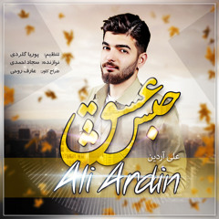 Ali Ardin - Habs Eshgh