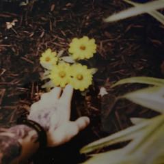 Name/Number (prod.roc)