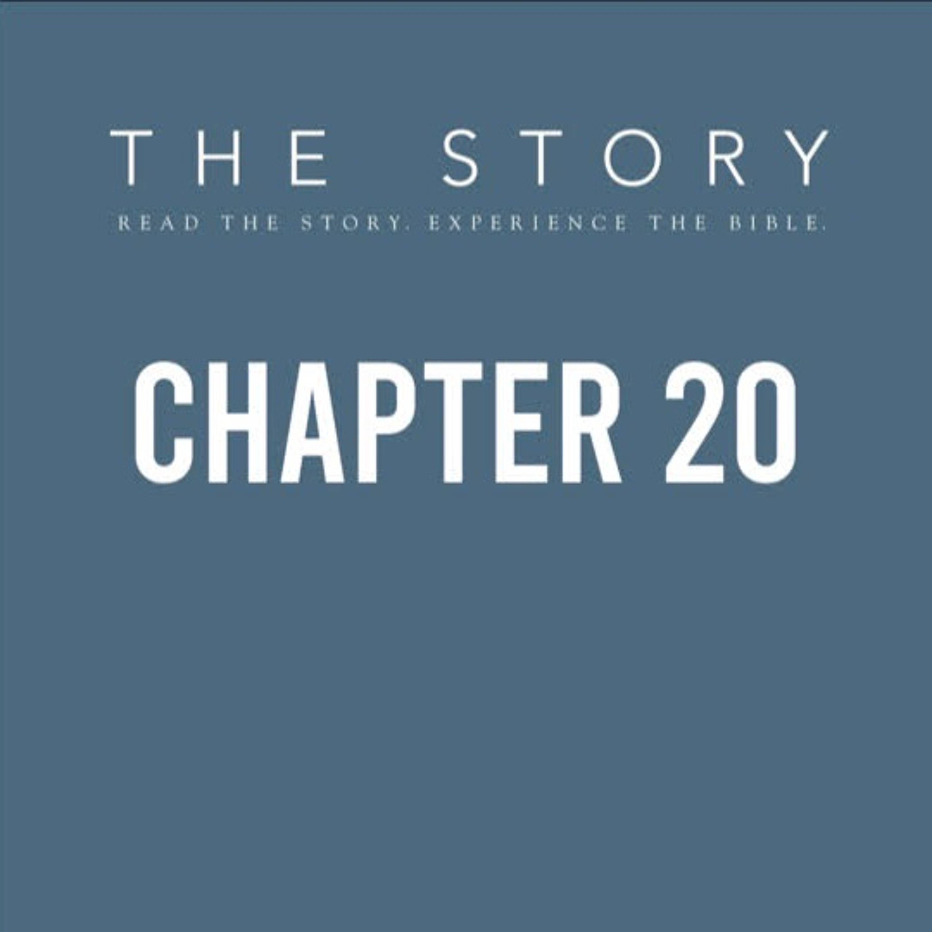 The Story - Ch. 20: The Queen of Beauty & Courage - Esther episode artwork