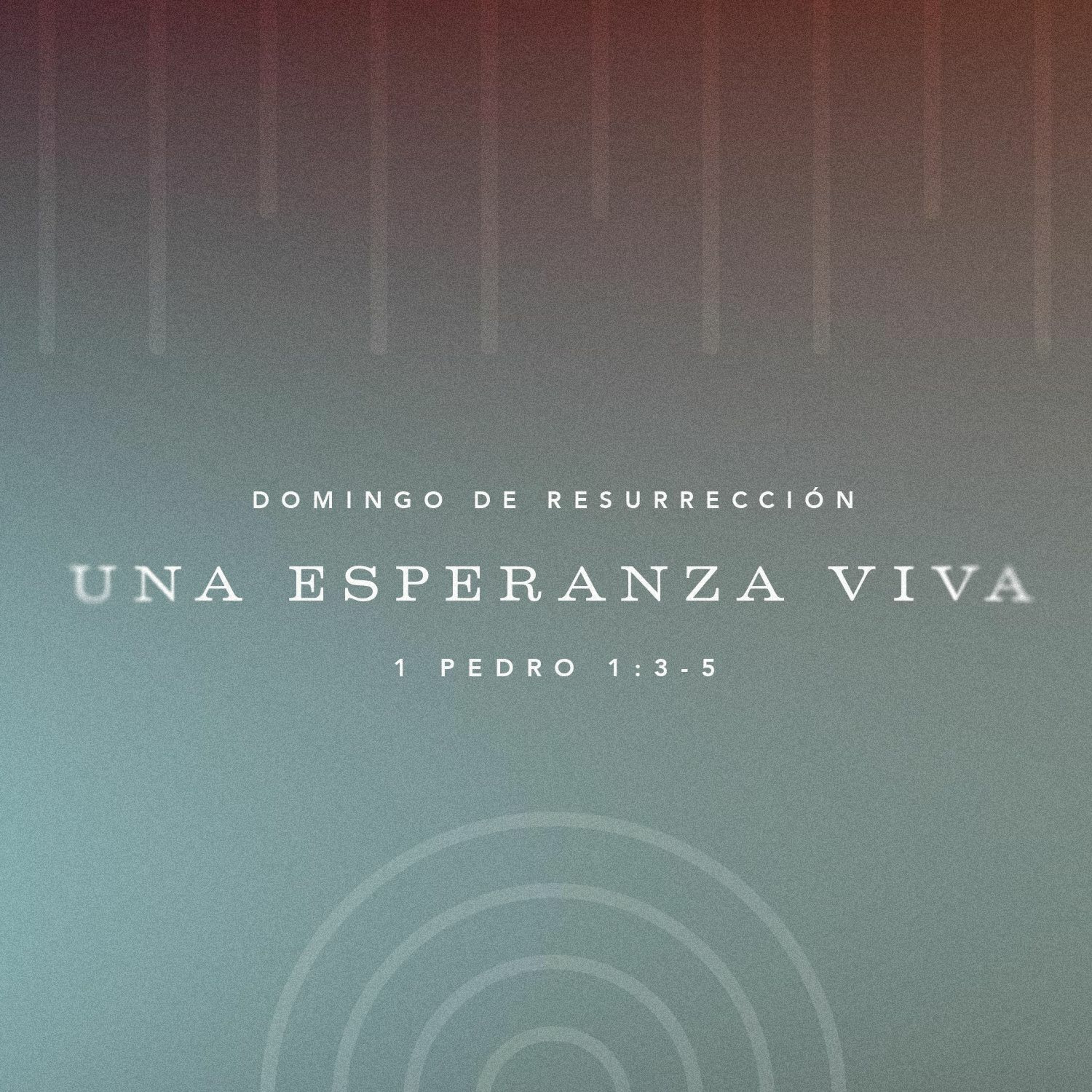 Una Esperanza Viva episode artwork
