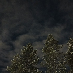 Pulse by Amanda Buda-Braun