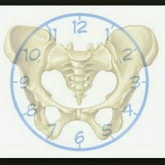 Фельденкрайз урок часы под тазом