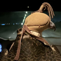 شعبي ⚜️