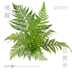 Woken3 mixed by Marcus Graham