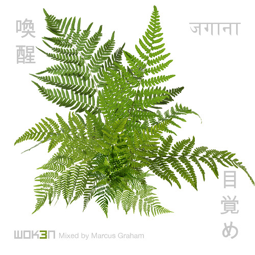 Woken3 mixed by Marcus Graham