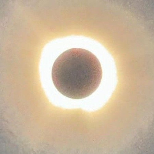 Tipsy Love Addict (Prob. HallMight)