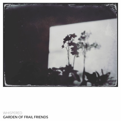 The Garden Of Frail Friends