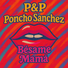 p&p - Besame Mama (Latin House)