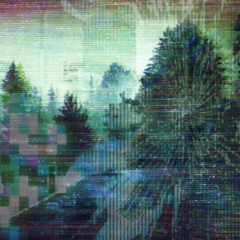 Eгvpted Tг4ck