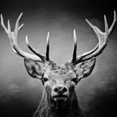 Le Retour Du Roi Pango (maquette)