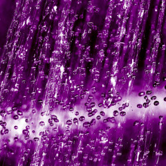 Purple Rain