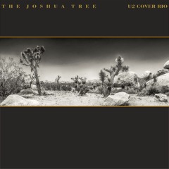 I Still Haven't Found What I'm Looking For