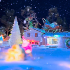 Weeping Willow Walter's Winter Waltz