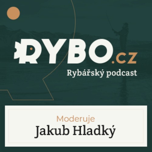 Stream episode #25 Recenze rybářských hlásičů Flacarp X7 by Rybo.cz podcast  | Listen online for free on SoundCloud