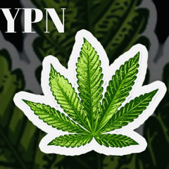 Pressure (No Reg)- YPN