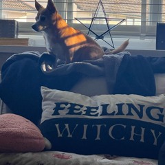 season of the witch - cover