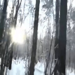 yaznayutvoitelefon.mp3