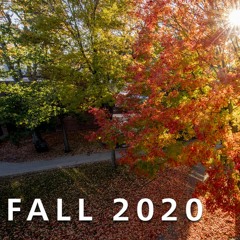 Fall2020