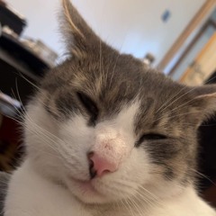 tennesse love song (cover)