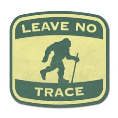 No Trace (prod. 308)